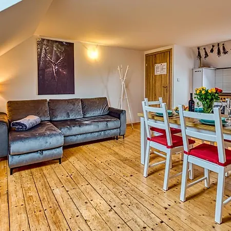 Izerska Baza - Basen, Ebike, Narty, Sauna, Jacuzzi, Blisko Swieradow Zdroj - 5d Appartement