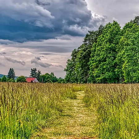 Izerska Baza - Basen, Ebike, Narty, Sauna, Jacuzzi, Blisko Swieradow Zdroj - 5d