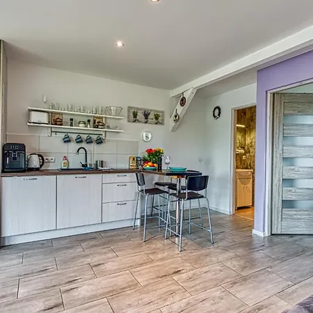 Apartment Izerska Baza - Basen, Ebike, Narty, Sauna, Jacuzzi, Blisko Swieradow Zdroj - 5d *