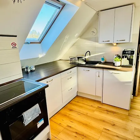 Appartement Izerska Baza - Basen, Ebike, Narty, Sauna, Jacuzzi, Blisko Swieradow Zdroj