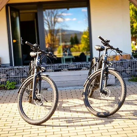 Izerska Baza - Basen, Ebike, Narty, Sauna, Jacuzzi, Blisko Swieradow Zdroj Appartement
