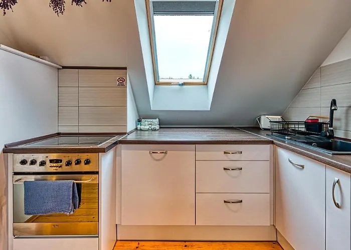 アパート Izerska Baza - Basen, Ebike, Narty, Sauna, Jacuzzi, Blisko Swieradow Zdroj *