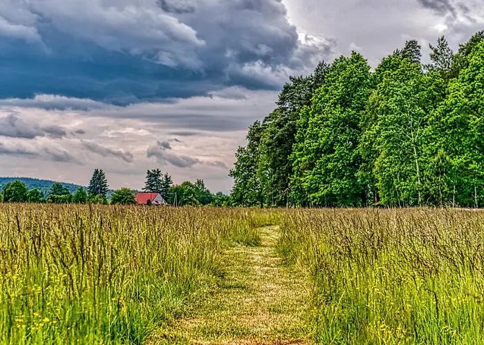Izerska Baza - Basen, Ebike, Narty, Sauna, Jacuzzi, Blisko Swieradow Zdroj