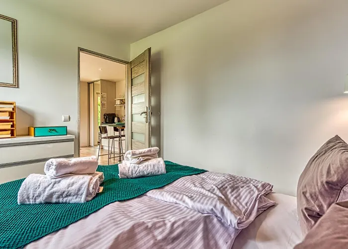 Apartment Izerska Baza - Basen, Ebike, Narty, Sauna, Jacuzzi, Blisko Swieradow Zdroj - 5d *